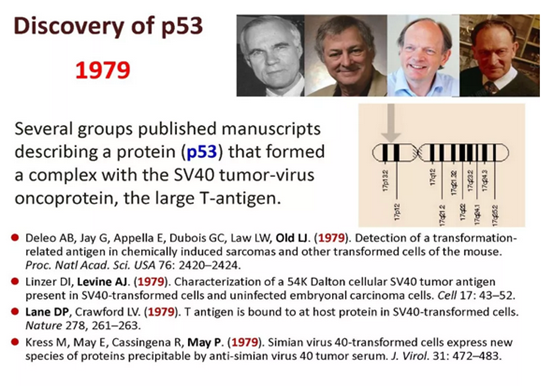 Commemorating the 40th anniversary of p53 discovery: yesterd